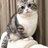 purpurniy