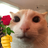 Jones_Sberet