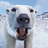 Thomas_Trupoedov