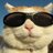 Kevin_Wolfstein
