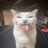 Eclipse_Abugov