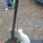 Ivan_Litvin